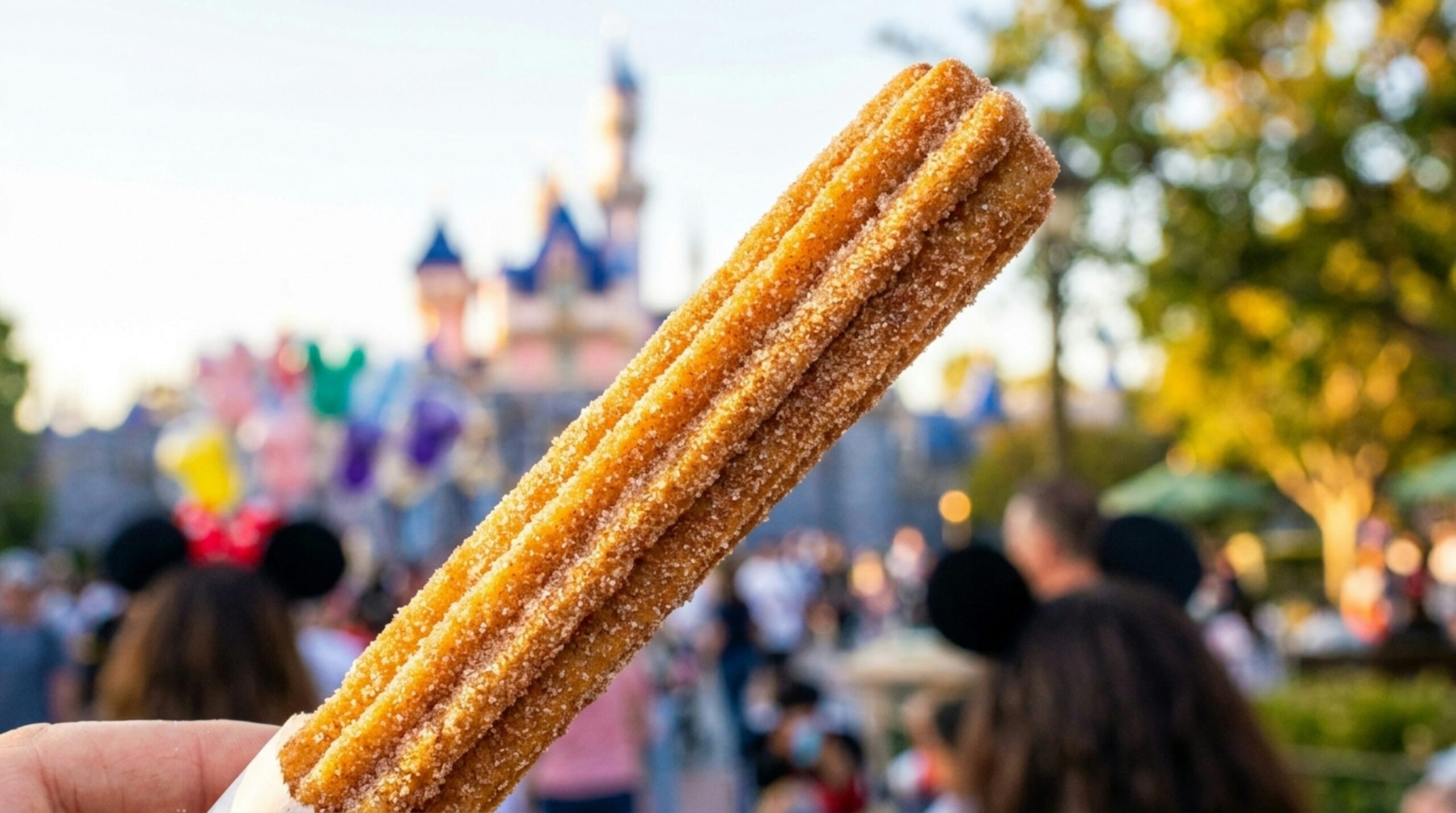 Photo by Enchanted Insider on Unsplash