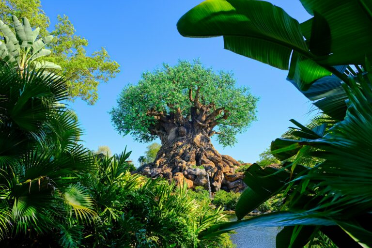 Tree of Light at Animal Kingdom