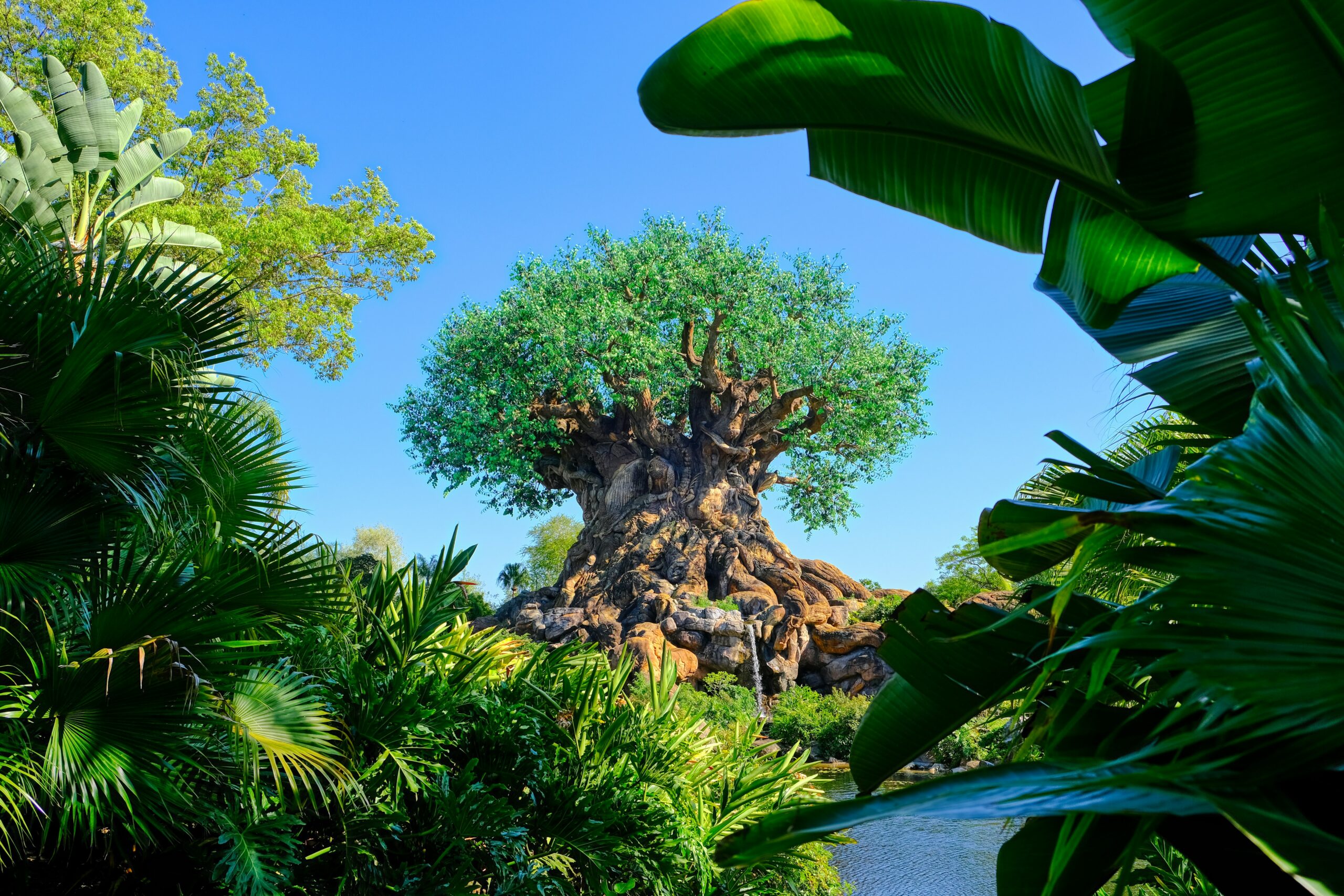 Tree of Light at Animal Kingdom