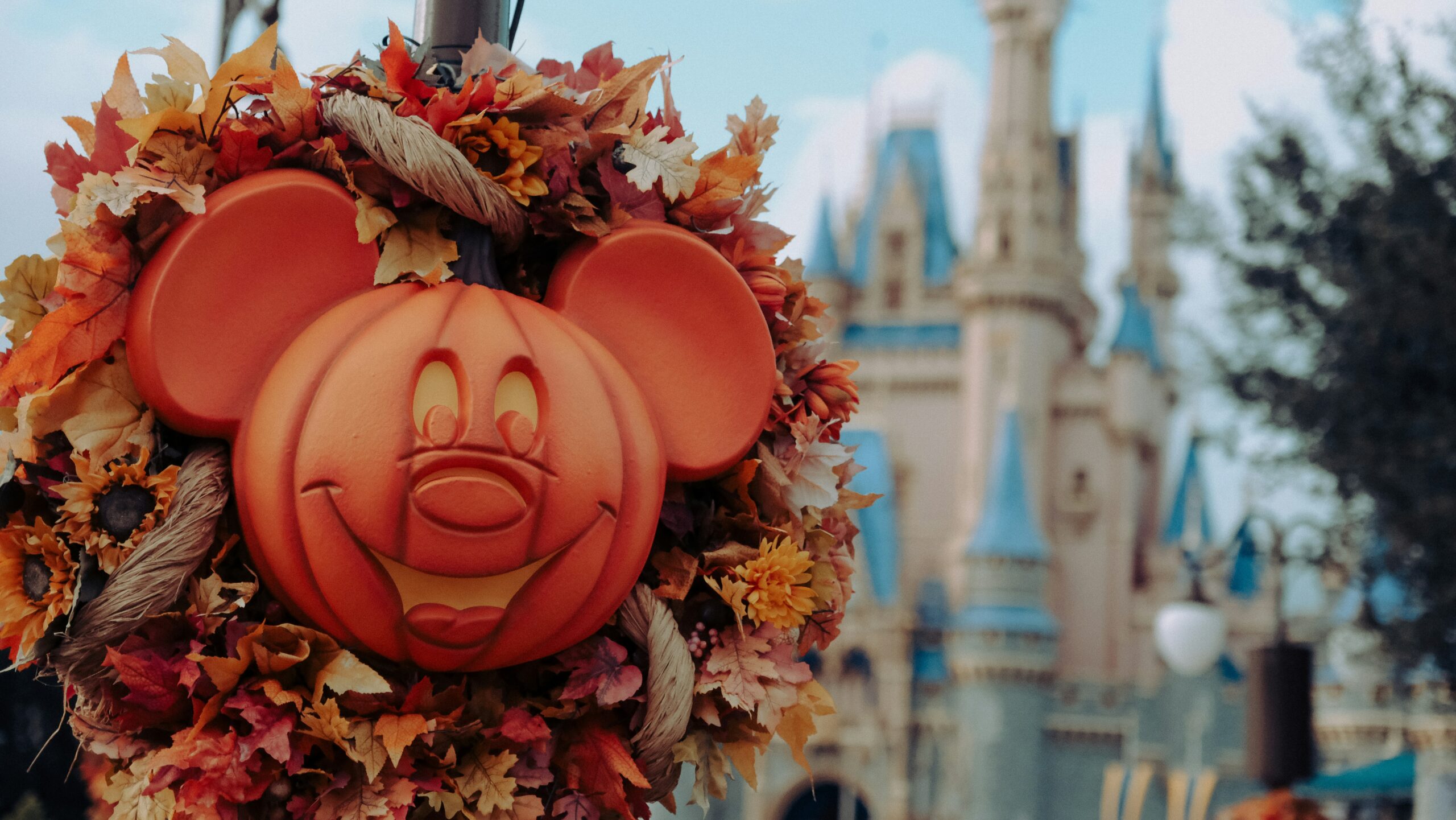 Mickey Pumpkin at Magic Kingdom